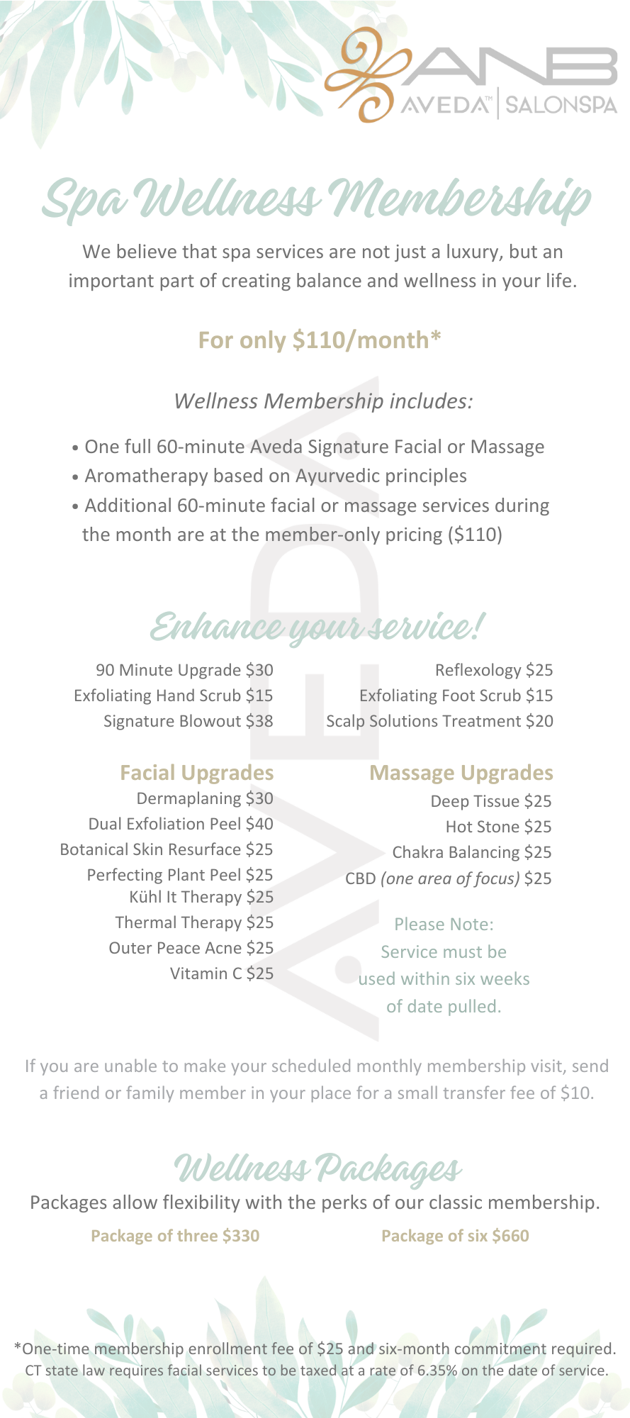 Image displaying the details of a Spa Wellness Membership offering various services like massages, facials, and aromatherapy. Join now for just $110/month with options for service upgrades and package deals. - A New Beginning Salon and Spa in Bethel, CT